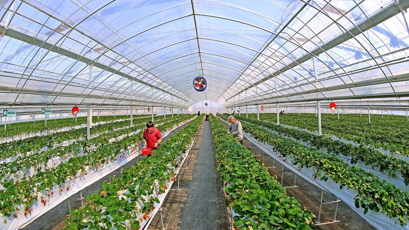 土壤改良，粮食种植的根基