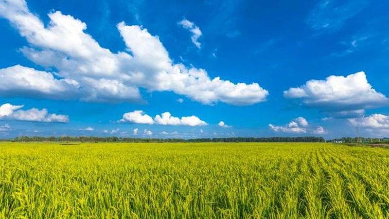 种植与养殖：本质区别与关键对比