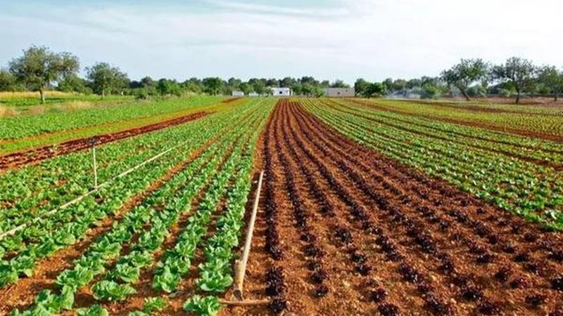 水果种植设备：品牌型号参数解析与选购要点