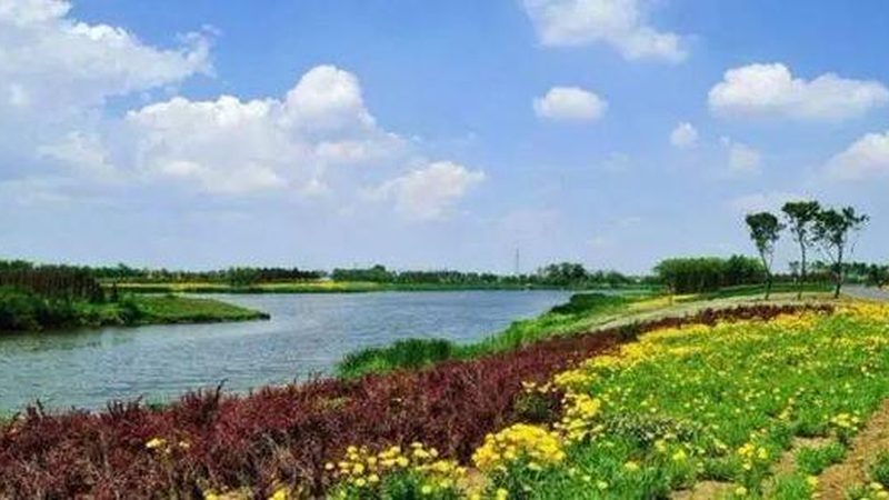 大棚种植技术培训，如何选择性价比高的课程？**