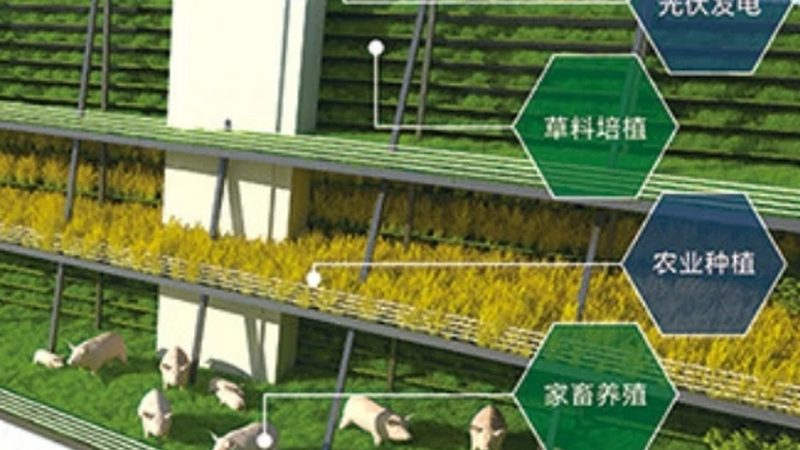 成都农资批发如何选择：规避误区，科学选购