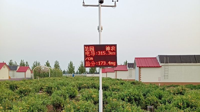 农业项目可行性报告：揭秘报价单背后的价值