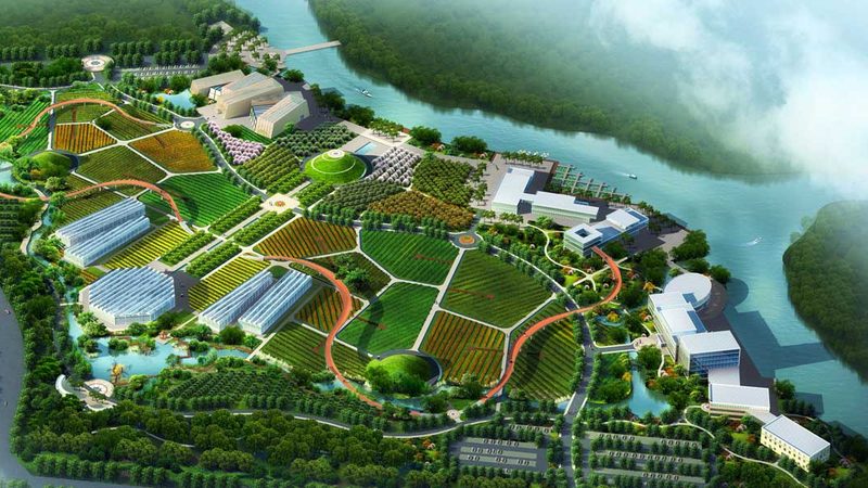 合作社联农带农机制：构建现代农业发展新格局