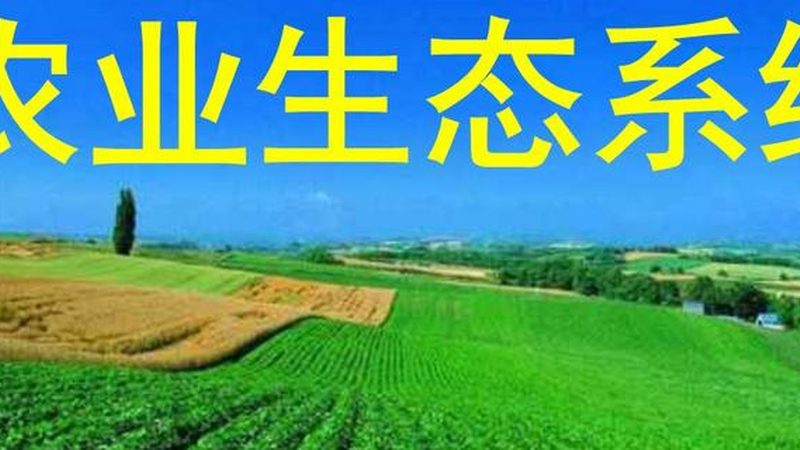 蔬菜大棚种植注意事项详解