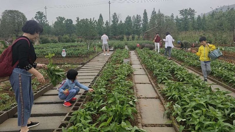 食堂生鲜配送承包合同：保障食品安全的关键环节