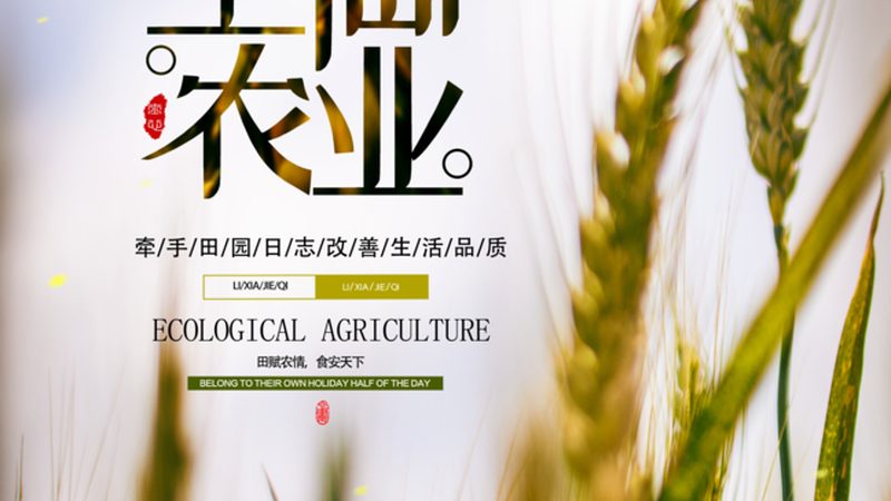 农资批发价格揭秘：如何理性选择？**